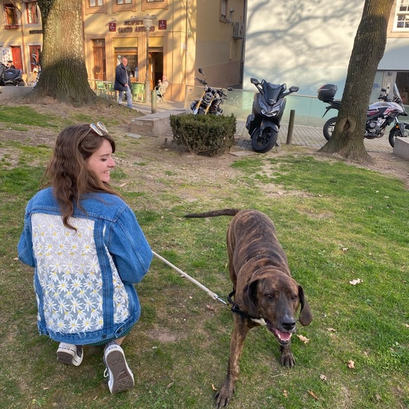 Meet your Posher, Molly - Picture 7 of 7